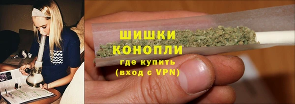 ПСИЛОЦИБИНОВЫЕ ГРИБЫ Сатка