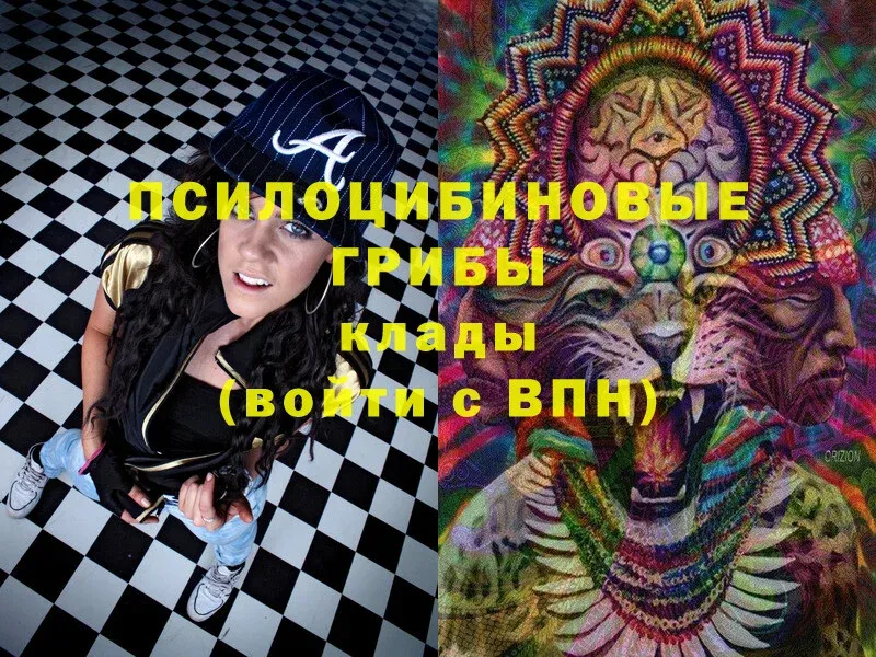 Галлюциногенные грибы Magic Shrooms Алагир