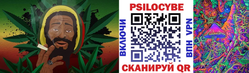 купить наркоту  Алагир  Псилоцибиновые грибы GOLDEN TEACHER 